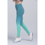 Ombre Activewear Women's Leggings Yoga Pants Workout